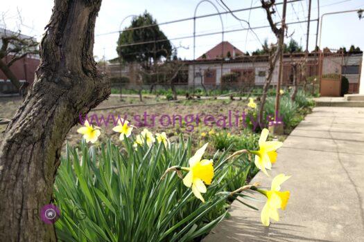 Znížená cena! 3 izbový rodinný dom s garážou v obci Pataš