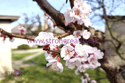 Znížená cena! 3 izbový rodinný dom s garážou v obci Pataš