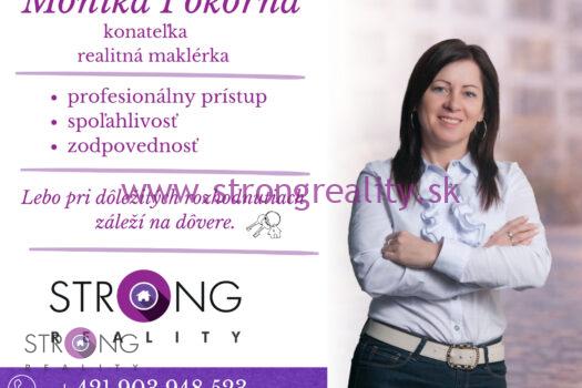 NOVÁ CENA ! Na predaj veľký 2 izbový byt s loggiou v západnej časti mesta Dunajská Streda